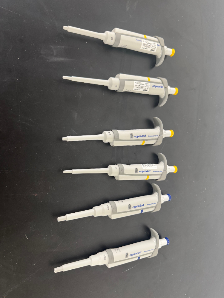 Image of Eppendorf Research Plus Single Channel Pipettes - Quantity 6